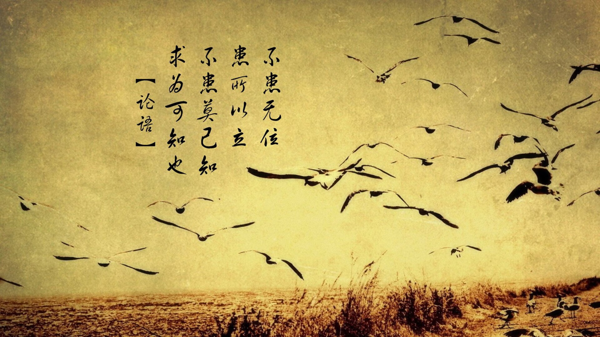 _掘金攻守平衡,战绩持续攀升_,掘金强不强