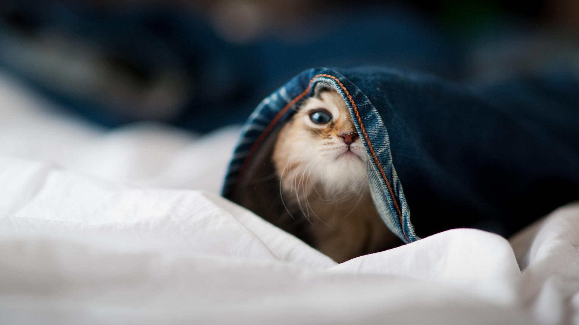 台球运动的公益影响力持续扩大，台球的益处