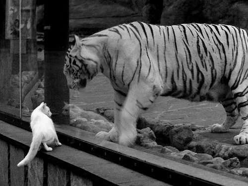 爱游戏-德甲俱乐部积极推广青训体系，力求长远战斗力，德甲俱乐部地理分布图