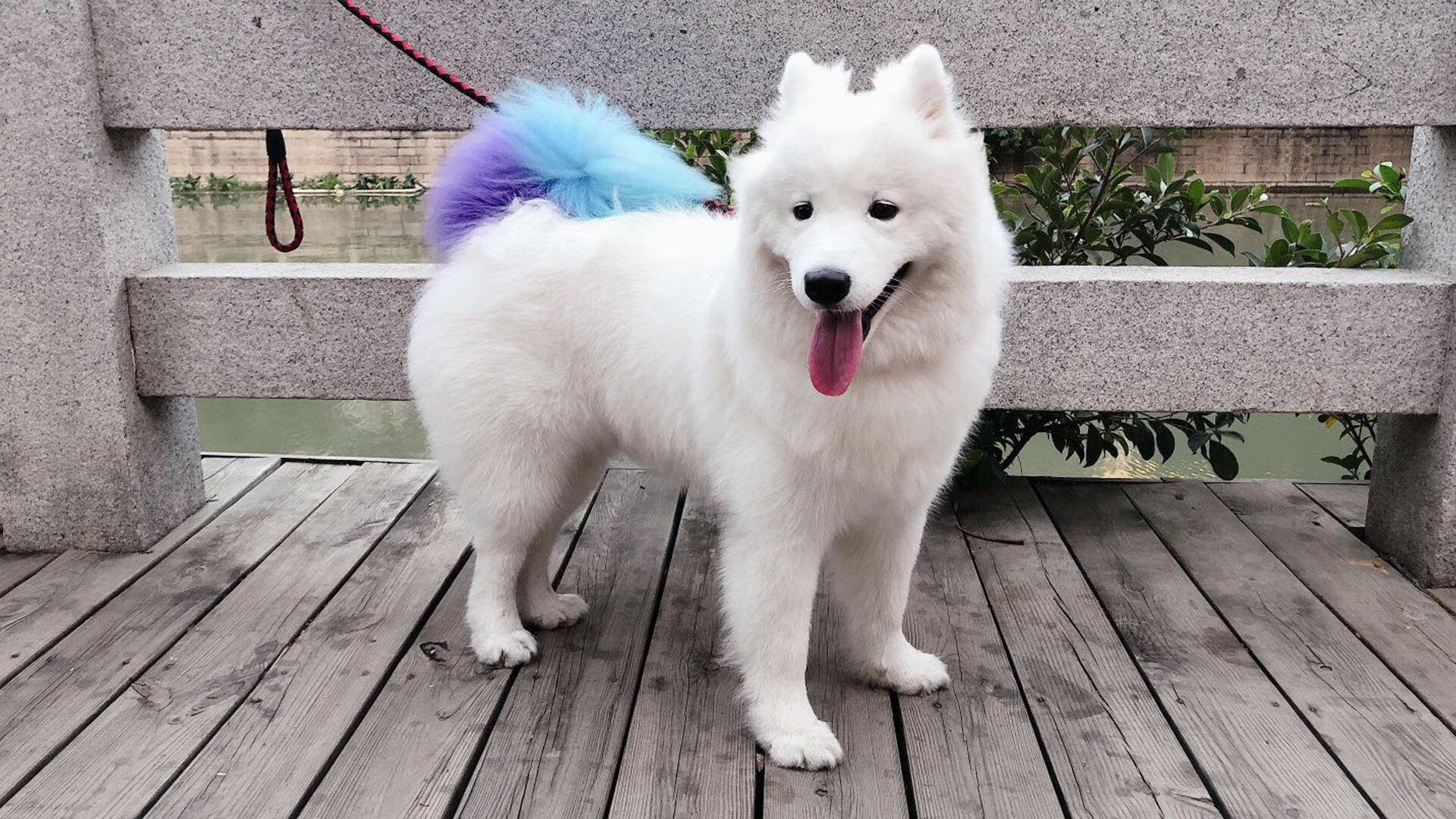 德甲俱乐部通过数字化手段提升粉丝互动,德甲升级