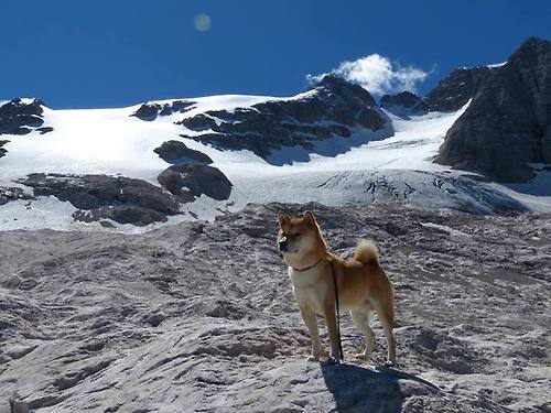 爱游戏下载-数字化观看平台助力青少年篮球赛事覆盖全国