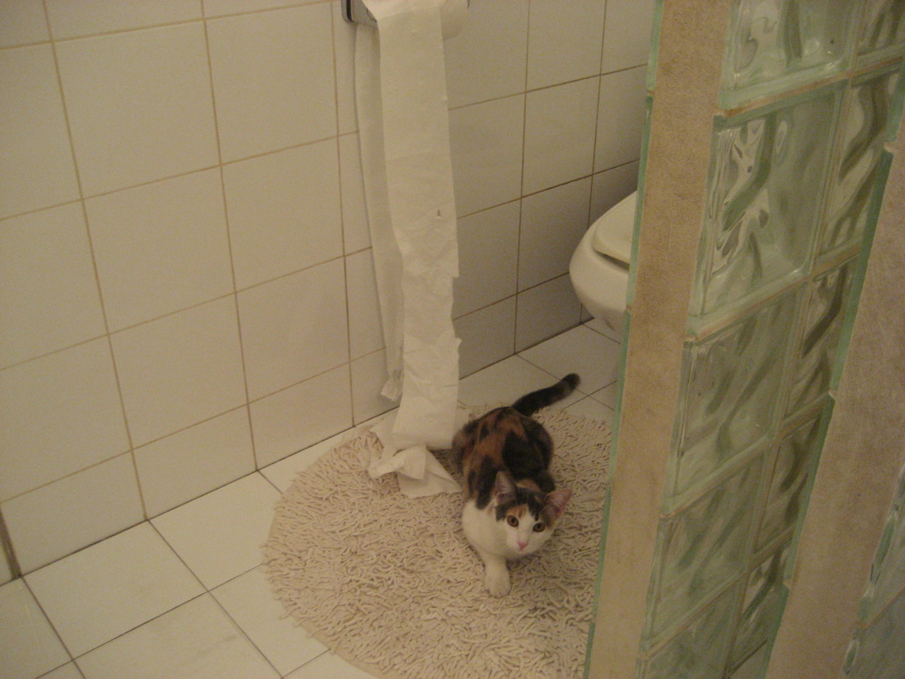 爱游戏娱乐平台-电竞焦点访谈节目获得行业广泛好评，焦点访谈 电竞游戏