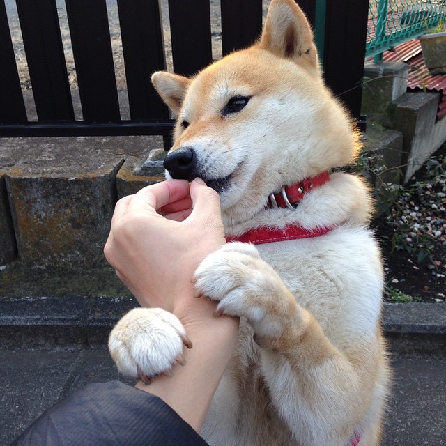 线上线下相结合的青少年篮球赛不断创新,打造全民运动新生态,线上和线下比赛