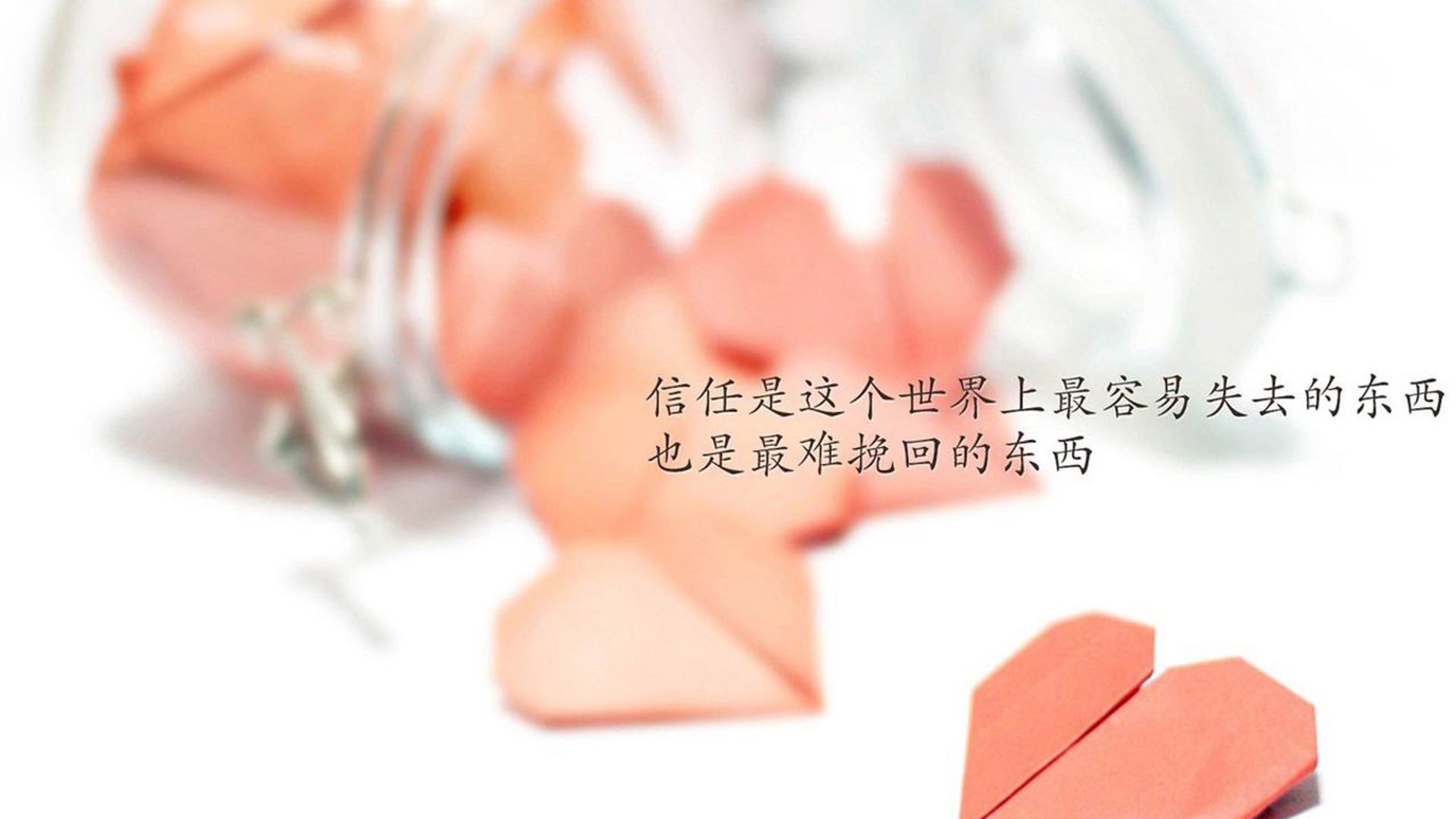 葡萄牙马术协会推出马术运动员职业发展规划，促进人才培养。，葡萄牙体育 马里奥