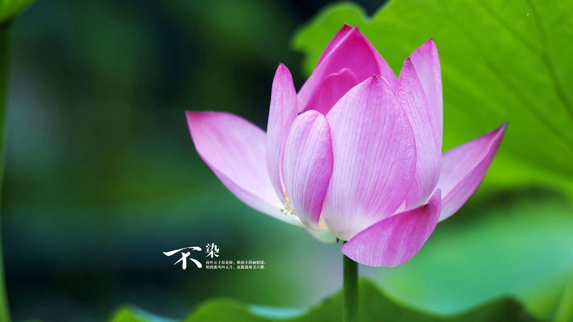 爱游戏在线娱乐官网-足球入选亚运新增项目推广计划，足球亚运会