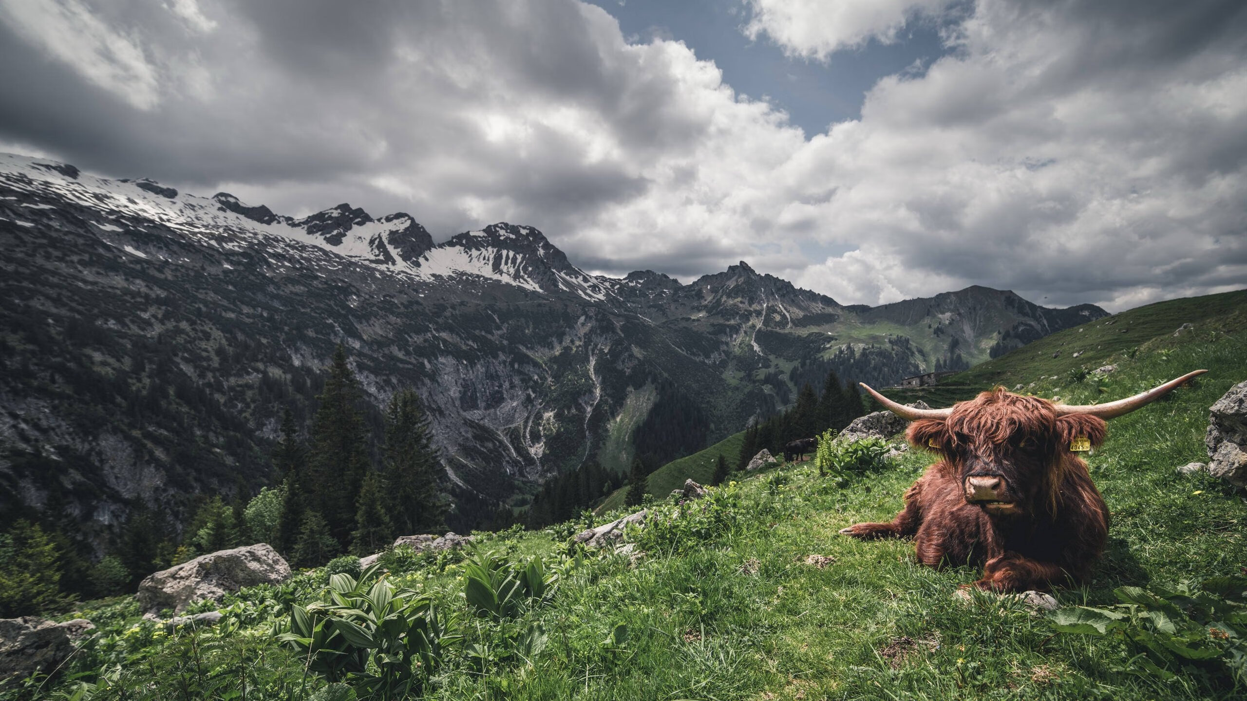 AYX GAMING-高效数据：投篮命中率达47%，助攻20+，全面发力！，投篮命中率多少算正常