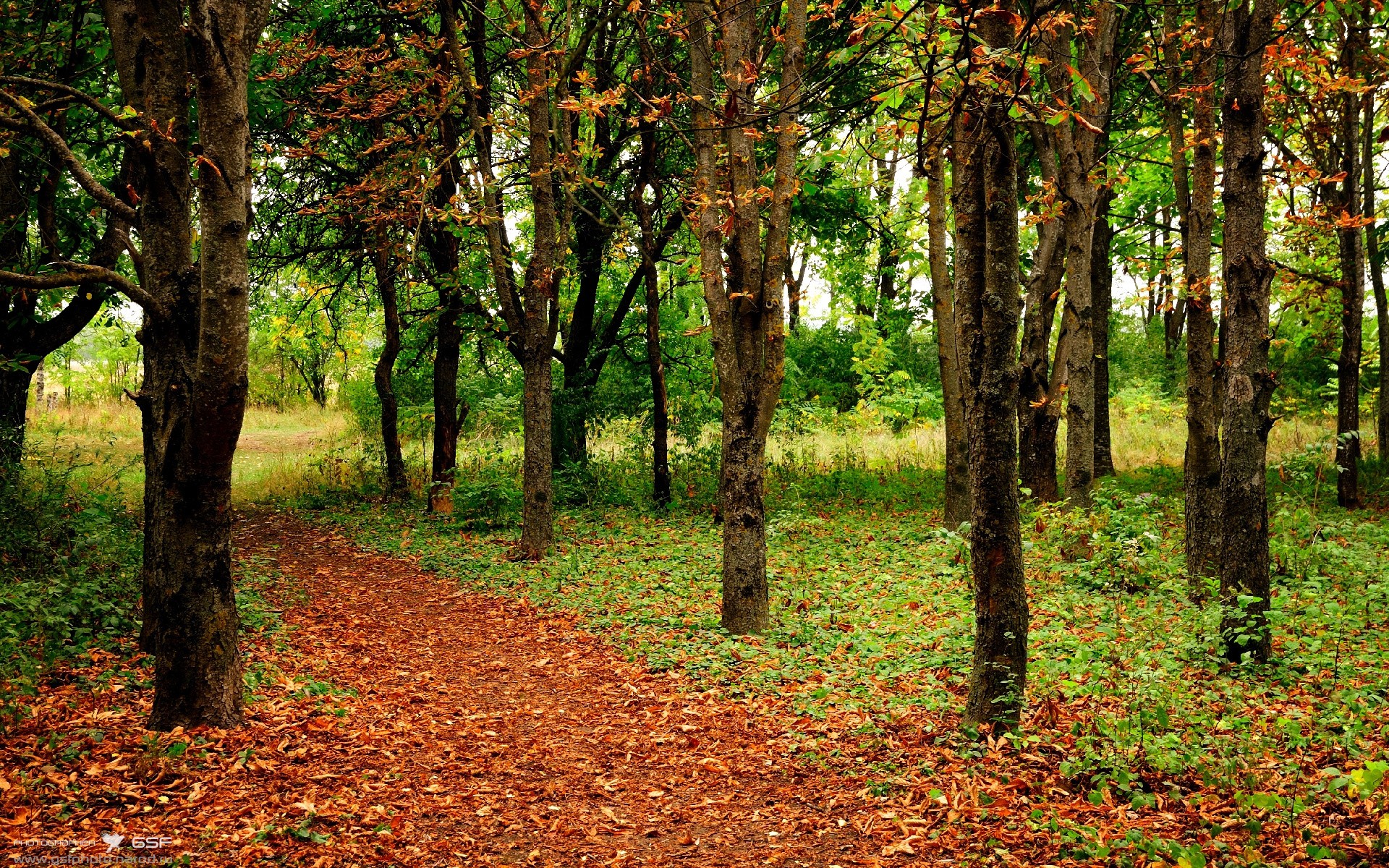 爱游戏 电竞-巴黎客场-力擒皇马，欧冠晋级悬念，巴黎欧冠赛程2021-2022赛程表
