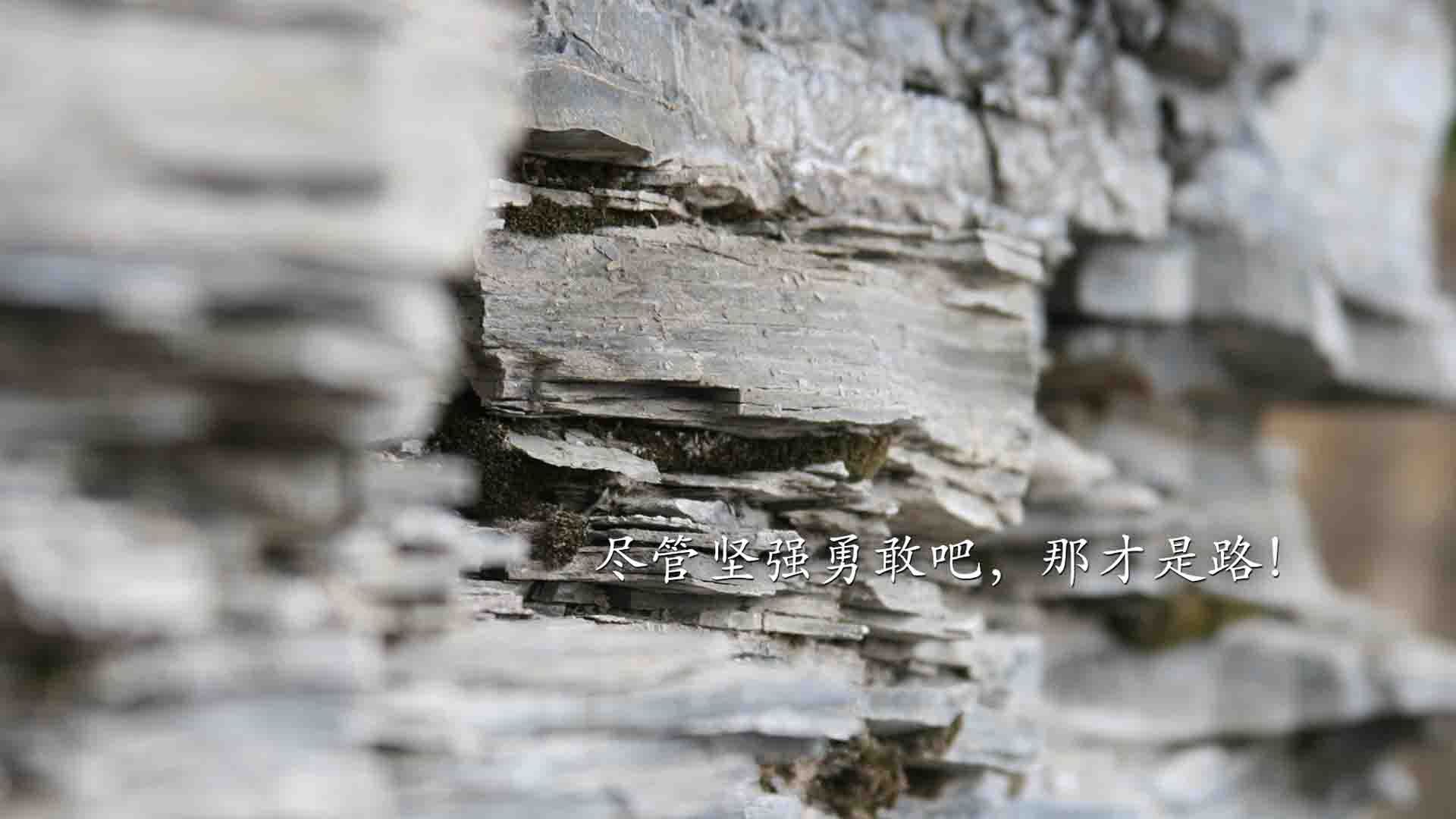 AYX GAMING-裁判员是否应加强比赛心理素质培训，裁判员素质要求