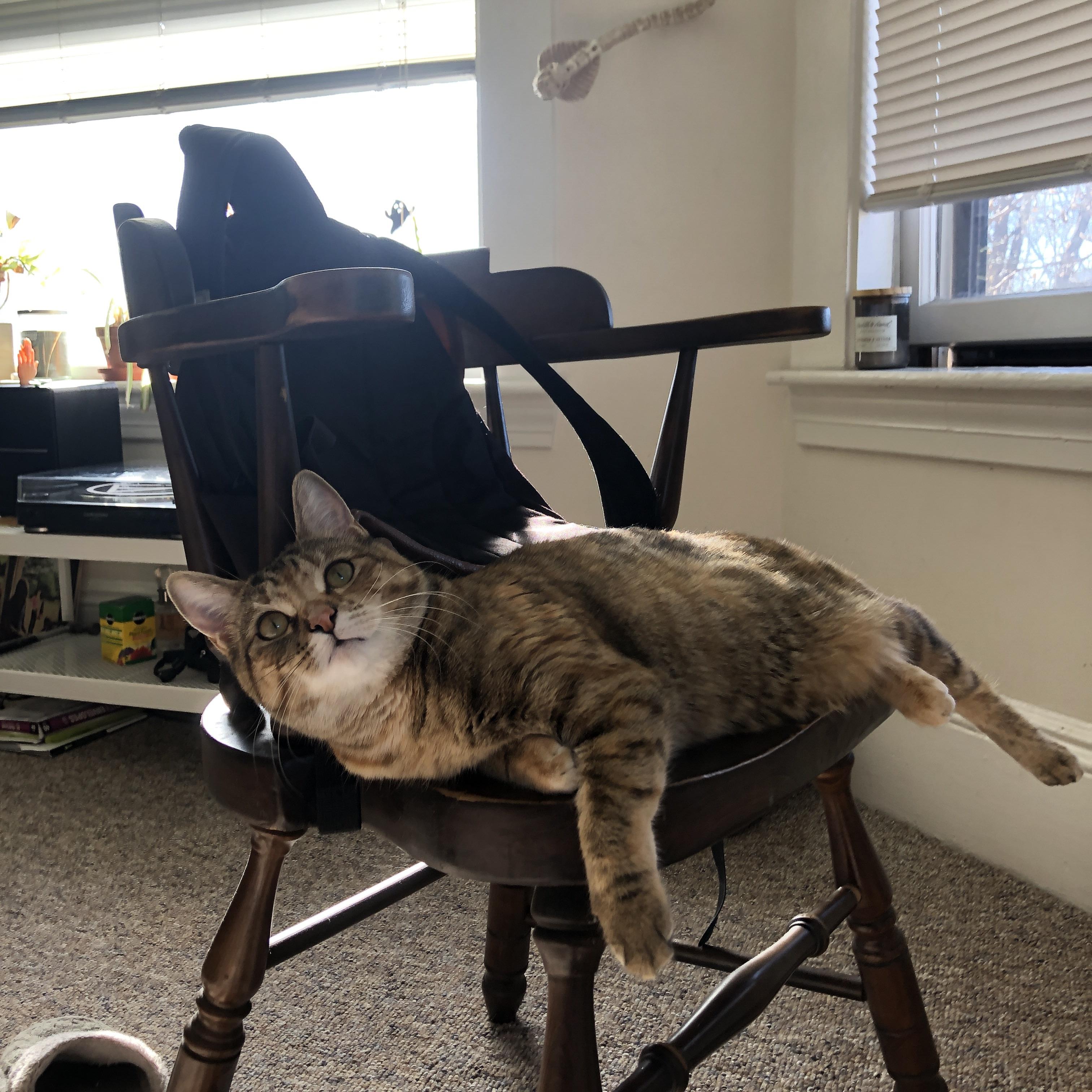 AYX体育官网-NBA球队替补阵容贡献分析，nba替补队员