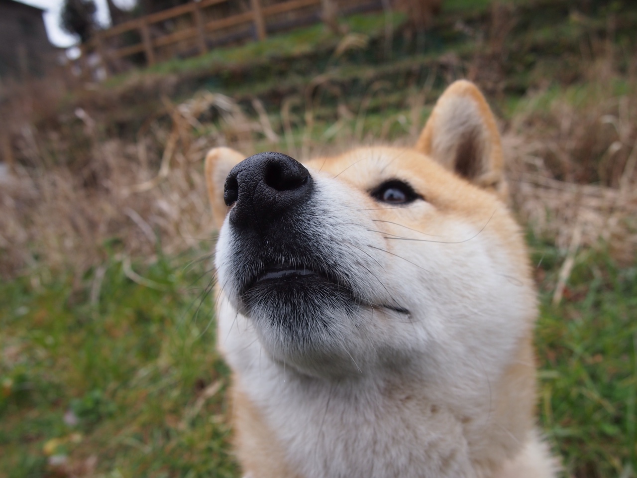 节奏选择是否应以得分爆发时间点为中心,节奏型的出现一定要遵循