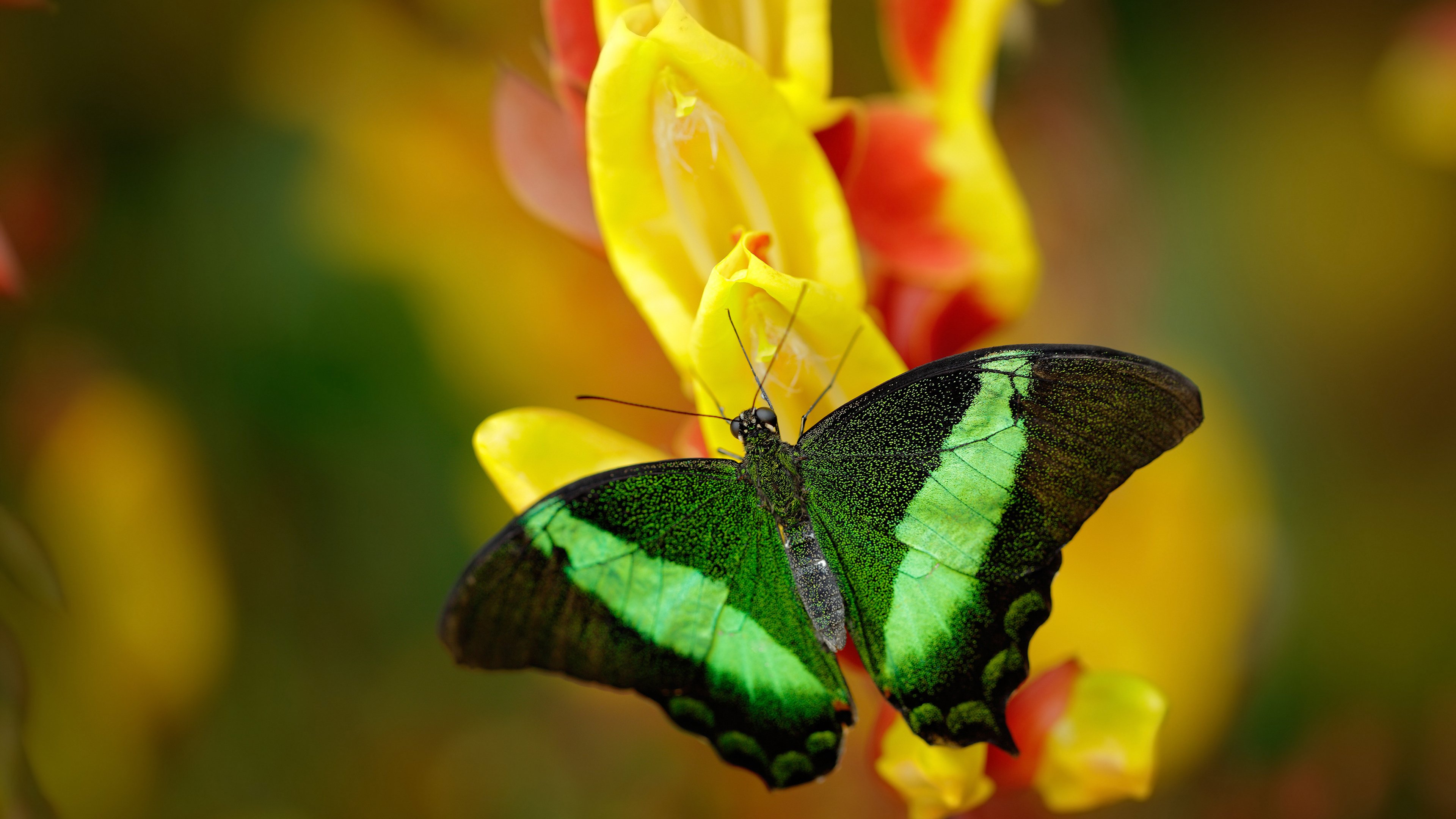 AYX官网-青少年体育健康监测纳入日常管理体系，国家对青少年体育